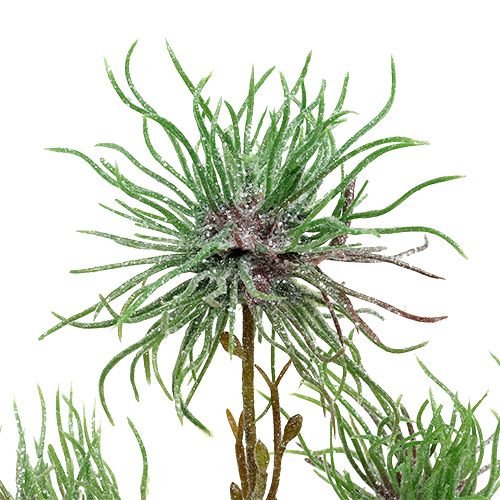 Floristik24 Ramo nocciola strega 44cm verde, argento 1p