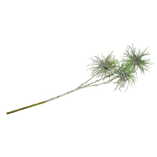 Floristik24 Ramo nocciola strega 44cm verde, argento 1p