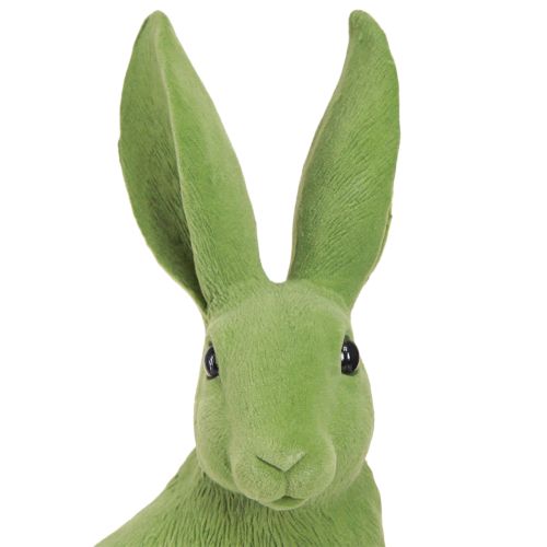 Floristik24 Coniglietto verde seduto Decorazione coniglietto pasquale floccato 16×13×35 cm