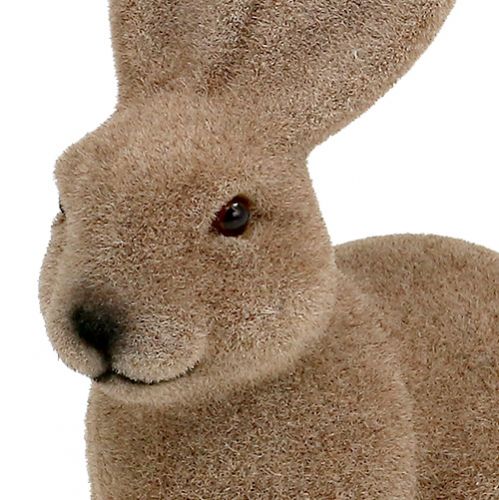 Floristik24 Coniglio floccato marrone 15,5 cm 4 pezzi