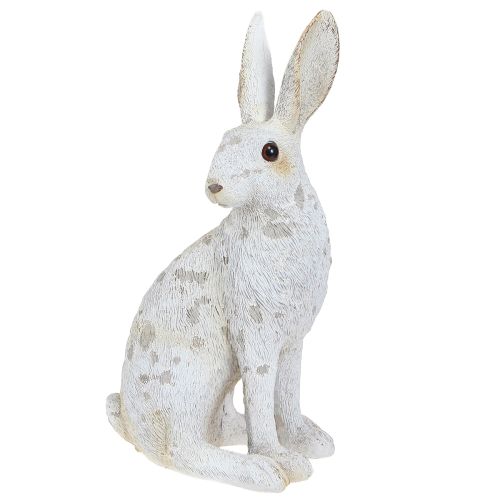 Floristik24 Figura decorativa del coniglietto seduto Coniglietto pasquale Shabby Chic 12×9×25 cm