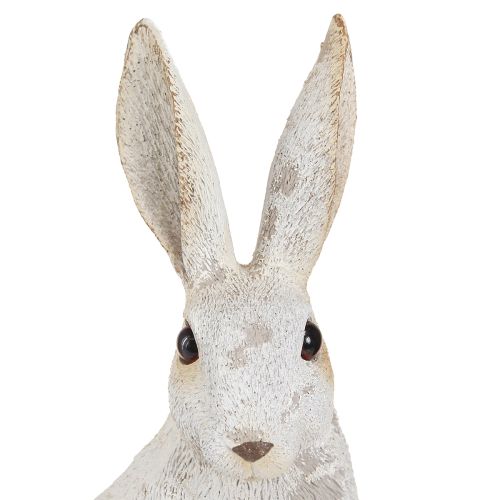 Floristik24 Figura decorativa del coniglietto seduto Coniglietto pasquale Shabby Chic 12×9×25 cm