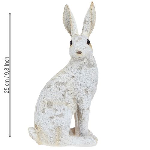 Floristik24 Figura decorativa del coniglietto seduto Coniglietto pasquale Shabby Chic 12×9×25 cm
