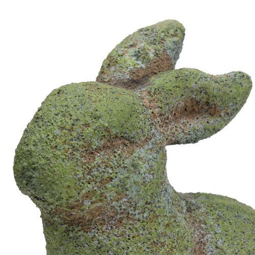 Floristik24 Statuina da giardino coniglio muschio 20 cm x 13 cm H25 cm
