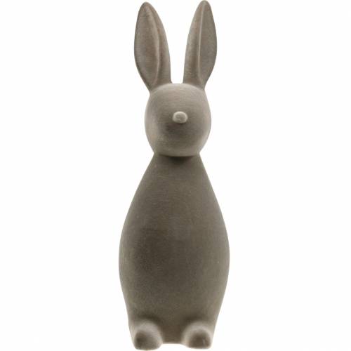 Floristik24 Coniglietto grigio scuro floccato Coniglietto pasquale Decorazione pasquale da tavola Pasqua