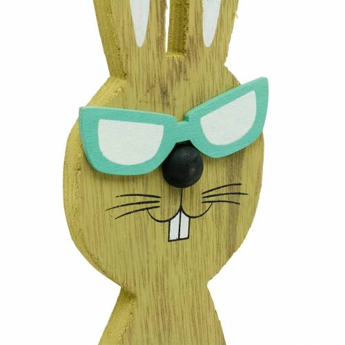 Floristik24 Coniglietti pasquali con cesto verde, primavera, cesto decorativo per piante, coniglietto in legno con decorazione pasquale 2 pezzi