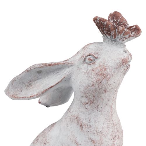 Floristik24 Coniglio seduto decorazione farfalla in pietra artificiale 14×10,5×26 cm