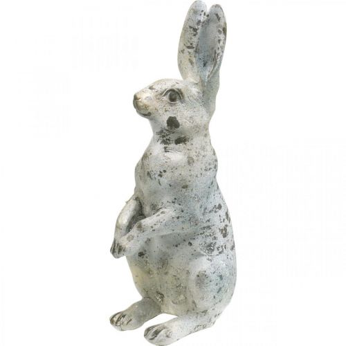 Floristik24 Coniglio decorativo per Pasqua, decorazione primaverile effetto cemento, figura da giardino con accenti dorati, shabby chic H42cm