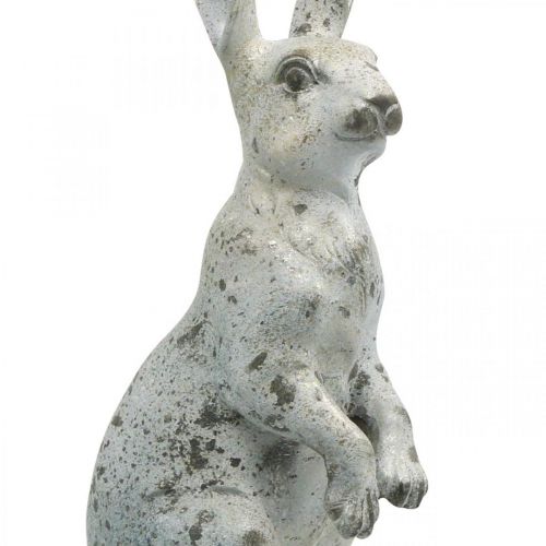 Floristik24 Coniglio decorativo per Pasqua, decorazione primaverile effetto cemento, figura da giardino con accenti dorati, shabby chic H42cm