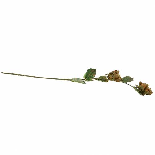 Floristik24 Ramo di nocciola verde / marrone 84 cm