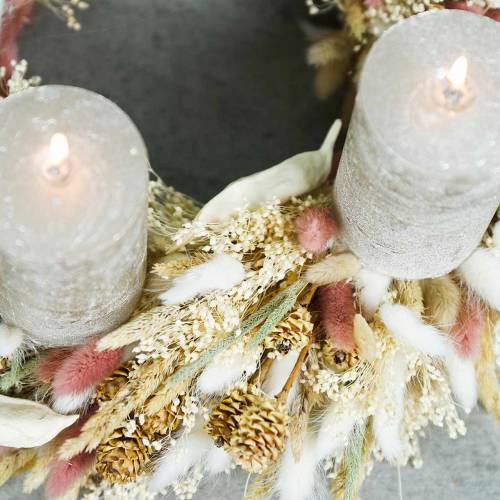Floristik24 Erba di coda di coniglio secca per fiori Lagurus bruno-rossastro 100 g