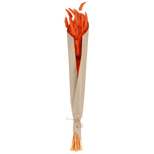 Prodotto Erba Coda di Coniglio Lagurus Arancia Secca 50-60 cm 50 g