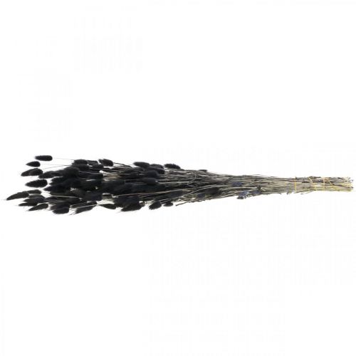 Prodotto Erba coda di lepre Lagurus secca nera 60cm 50g