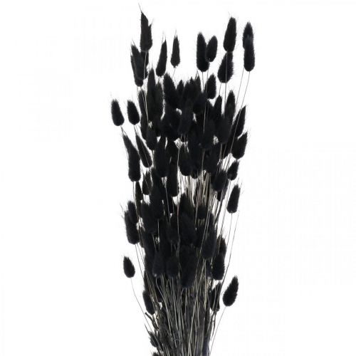 Prodotto Erba coda di lepre Lagurus secca nera 60cm 50g