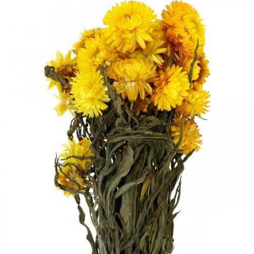 Prodotto Mazzo decorativo di fiori secchi secchi giallo paglierino 75g