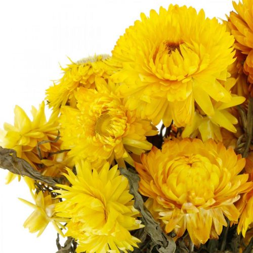 Prodotto Mazzo decorativo di fiori secchi secchi giallo paglierino 75g