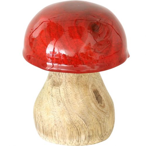 Floristik24 Funghi decorativi autunnali in legno Funghi di legno rossi H5-7cm 6 pezzi