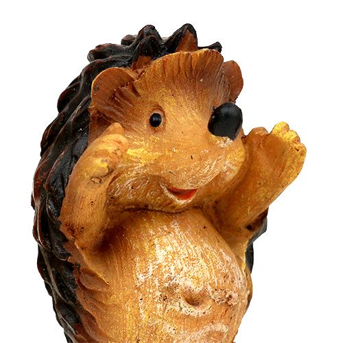 Floristik24 Misto riccio decorazione autunnale 6 cm marrone 6 pezzi
