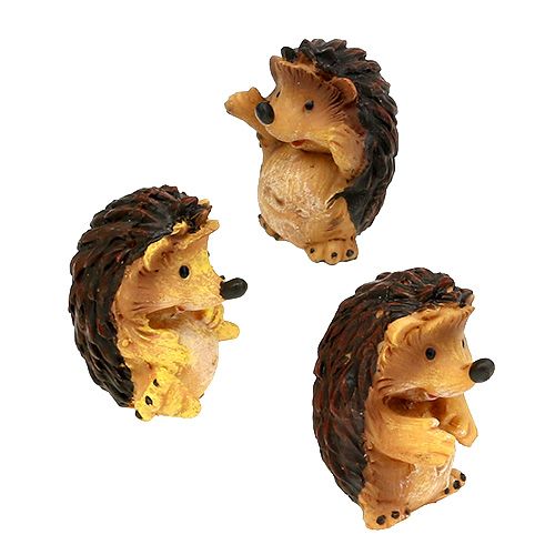 Floristik24 Misto riccio decorazione autunnale 6 cm marrone 6 pezzi
