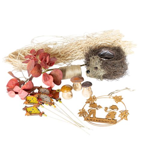 Set di decorazioni autunnali riccio funghi drago – acquista scatola decorativa a buon mercato
