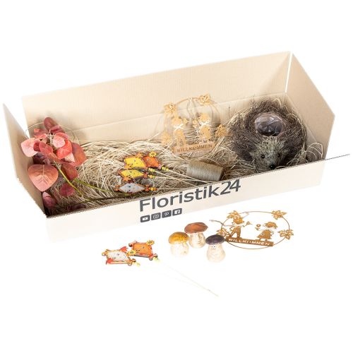 Prodotto Set di decorazioni autunnali riccio funghi drago – acquista scatola decorativa a buon mercato