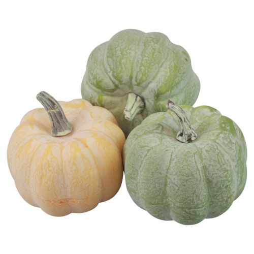 Floristik24 Decorazione autunnale decorazione zucche sbiancate arancione, verde 7,5 cm 6 pz
