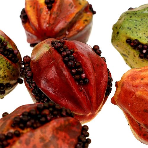 Floristik24 Frutti autunnali 3,5 cm rosso, marrone 24 pz