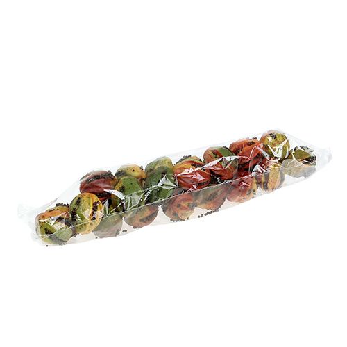 Floristik24 Frutti autunnali 3,5 cm rosso, marrone 24 pz