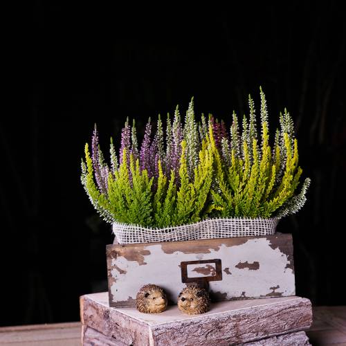 Floristik24 Fioriera cassetto in legno grigio antico 27cm x 13cm