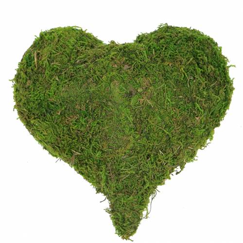 Floristik24 Cuore di muschio verde 20 cm 3 pezzi