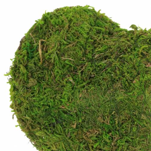 Floristik24 Cuore di muschio verde 20 cm 3 pezzi