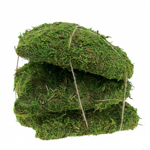 Floristik24 Cuore di muschio verde 20 cm 3 pezzi