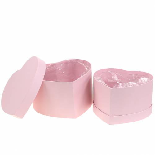 Floristik24 Fioriera cuore rosa Ø18/20cm set da 2