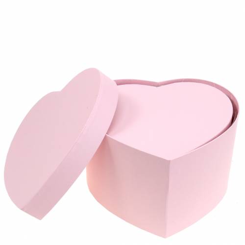 Floristik24 Fioriera cuore rosa Ø18/20cm set da 2