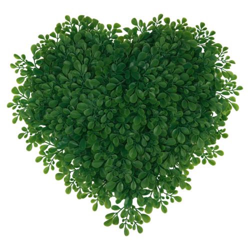 Floristik24 Tappetino decorativo artificiale in legno di bosso decorativo a forma di cuore verde 30,5 cm