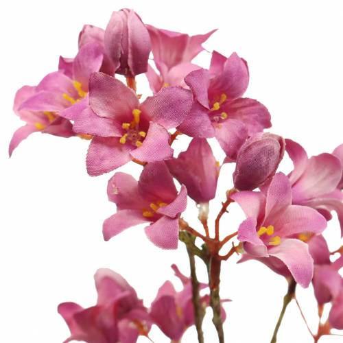 Floristik24 Purple Bells Heuchera Deco Ramo Rosa 44cm