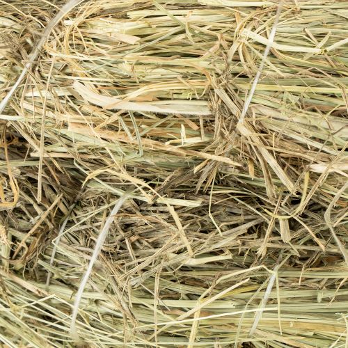 Prodotto Corone di fieno 31-32 cm 5 pezzi