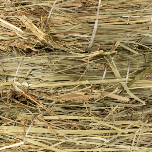 Prodotto Corona di fieno naturale 26-27 cm 5 pz