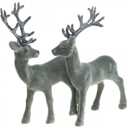 Floristik24 Figura decorativa cervo decorativo renna decorativa antracite H20cm 2 pezzi