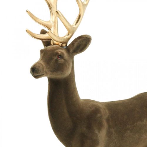 Floristik24 Decorativo cervo figura decorativa renna decorativa floccata marrone H46cm