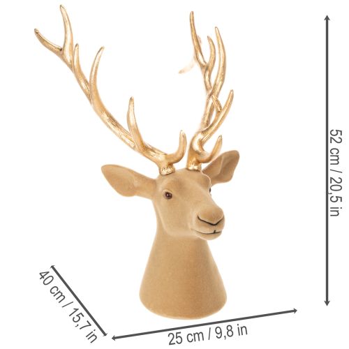 Scultura decorativa a forma di testa di cervo con grandi corna, 52 cm | Floristik24.it