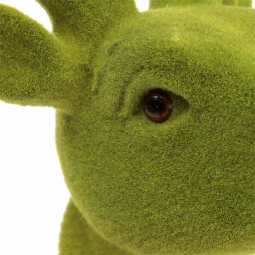 Floristik24 Testa di cervo decorativa floccata verde muschio 30 cm x 23 cm