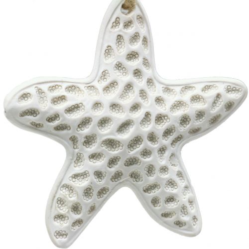 Floristik24 Stella marina Decorazione da appendere, cavalluccio marino 12 cm 3 pezzi