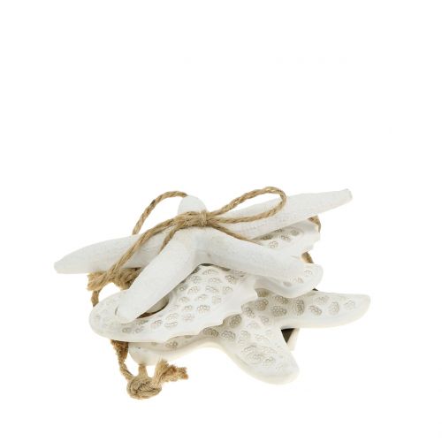 Floristik24 Stella marina Decorazione da appendere, cavalluccio marino 12 cm 3 pezzi