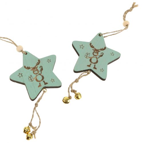 Floristik24 Appendino Star Mint 7 cm L20 cm 12 pz