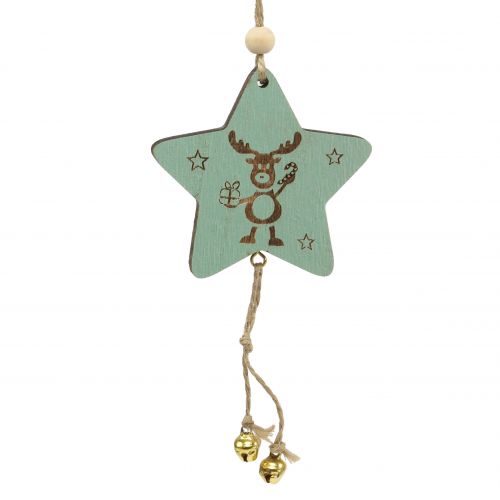 Floristik24 Appendino Star Mint 7 cm L20 cm 12 pz