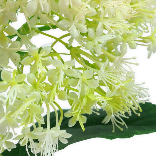 Floristik24 Sambuco bianco 42 cm