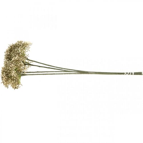 Floristik24 Ramo di fiori decorativi bianchi crema di sambuco artificiale 52 cm 4 pezzi