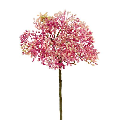Floristik24 Ramo di fiori di sambuco rosa-bianco L 55 cm 4 pezzi