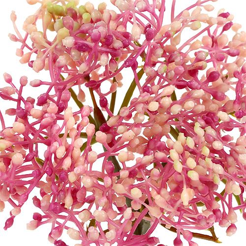 Prodotto Ramo di fiori di sambuco rosa-bianco L 55 cm 4 pezzi